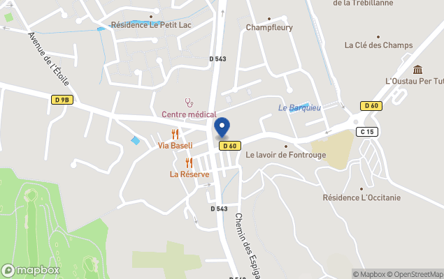 immobiliere carnot
